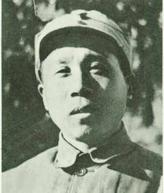 不久,隐藏在33军中的军统特务将魏巍告发,蒋介石及军政部长何应钦两次