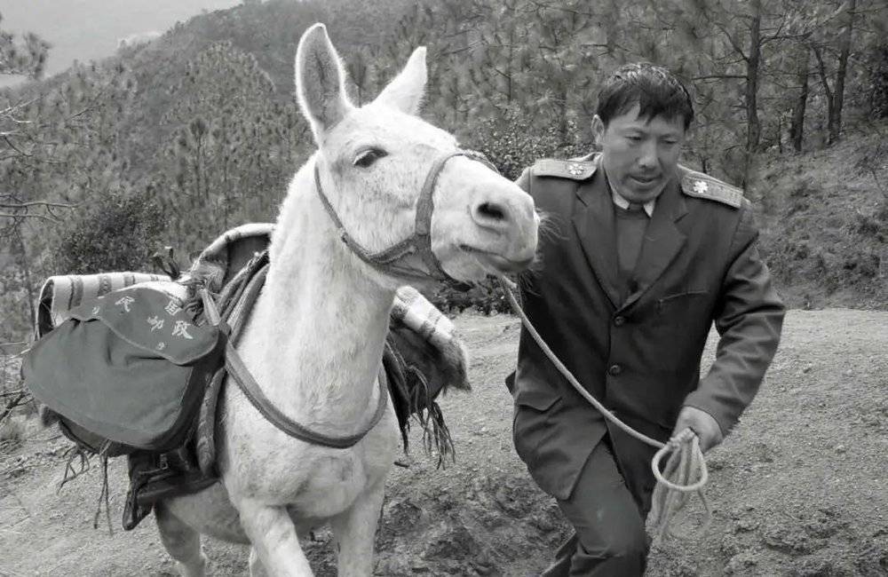 香巴拉信使一个人一匹马一条路