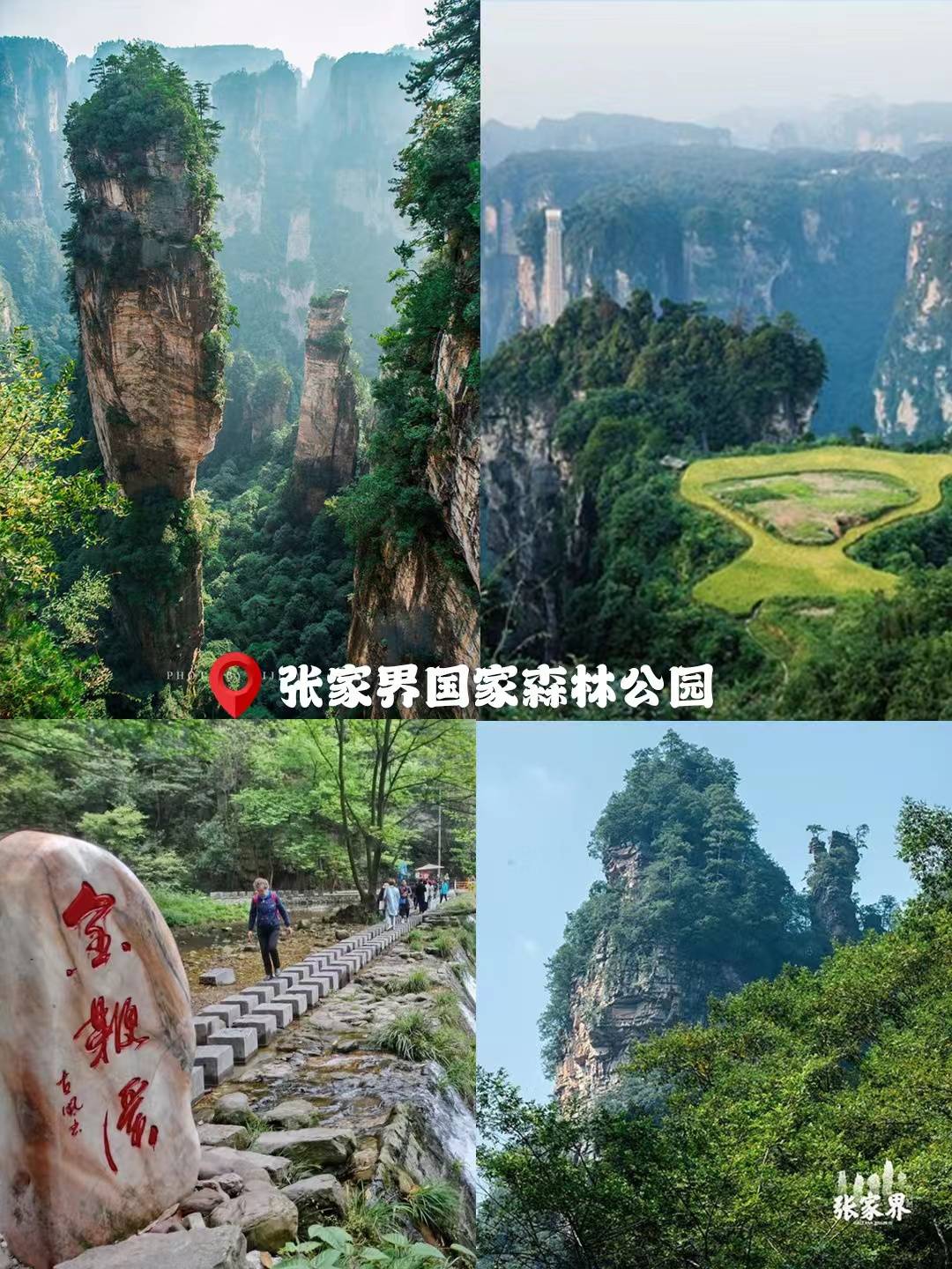 详细介绍下张家界旅游攻略自助游攻略包含景点门票路线等