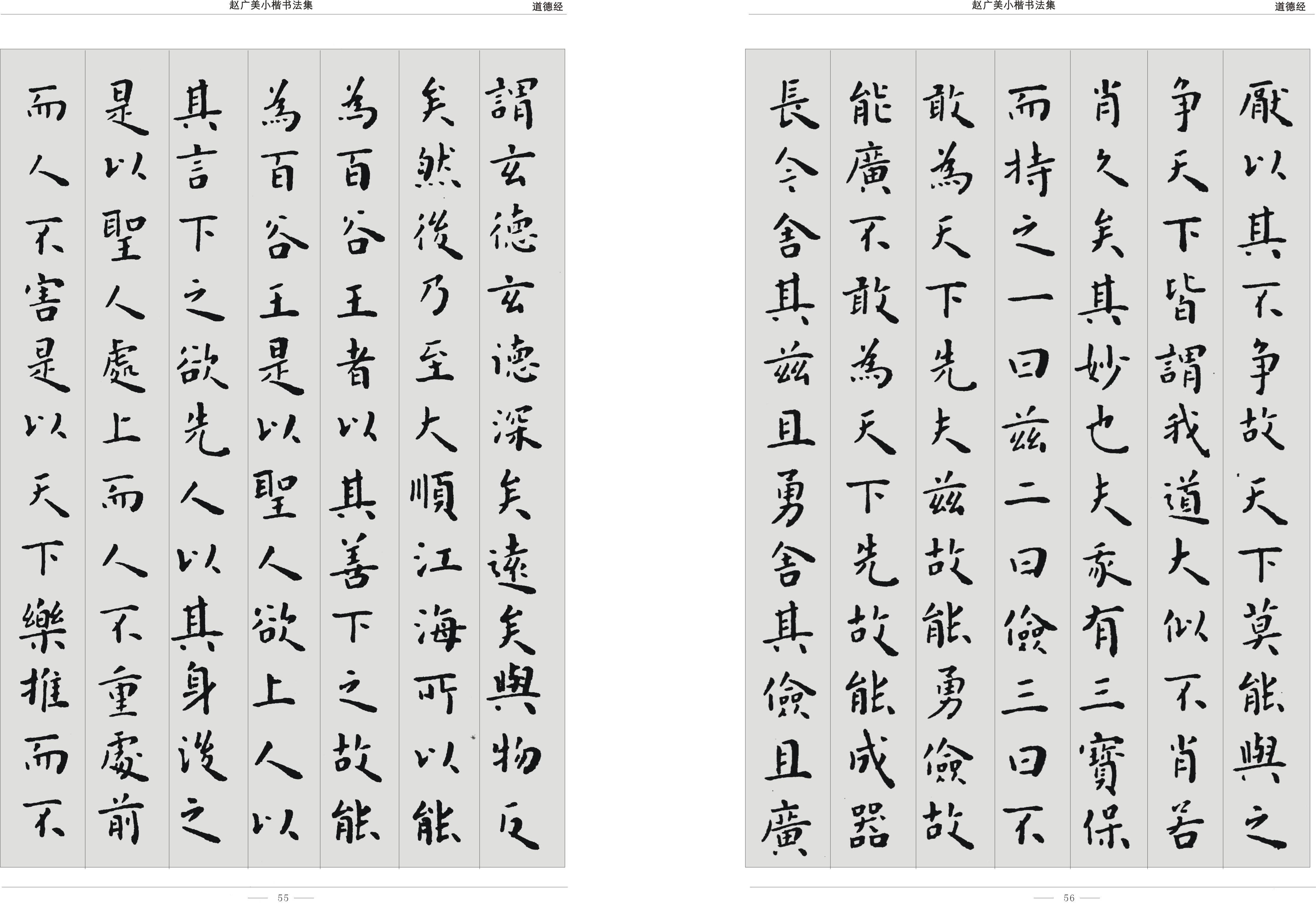 中国书法家协会会员——赵广美