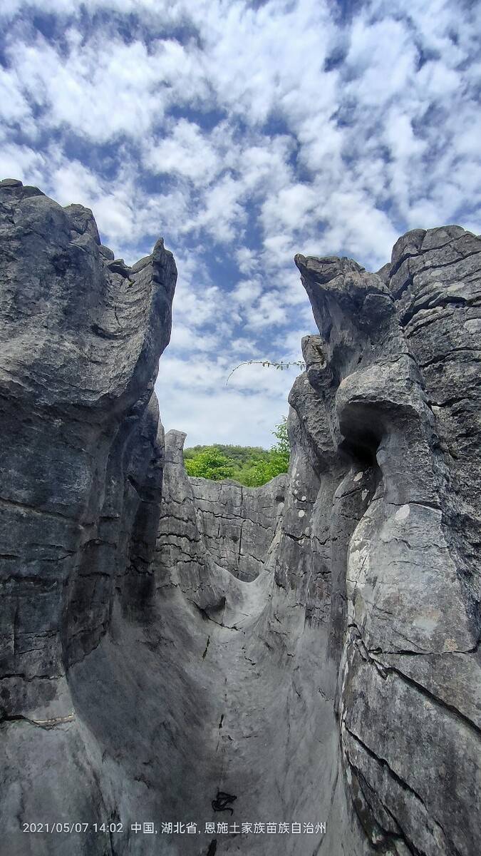 恩施本地团美女导游小夏:19574495470 (添加微信)全面了解旅游攻略.