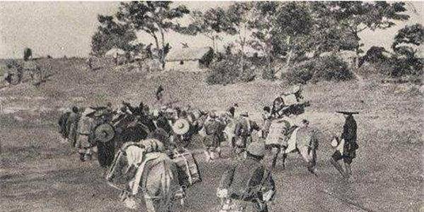 此人率部突袭中央中原局制造竹沟惨案被俘之后押烈士陵园正法