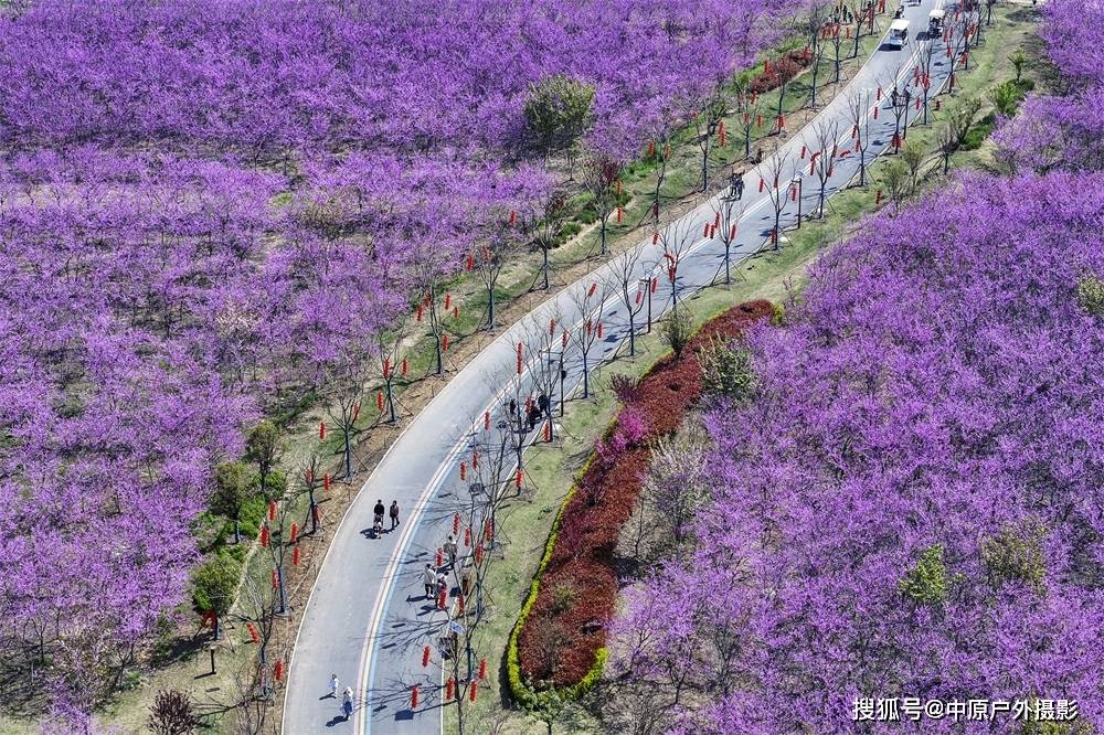 清明小长假 踏青百草园_华佗_亳州_西海