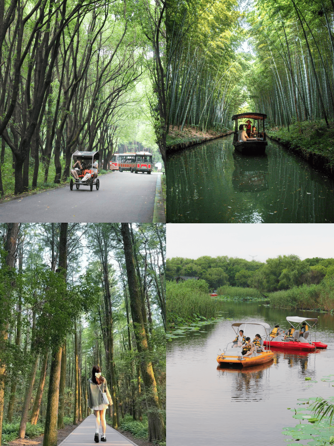 锦溪古镇#江浙沪周边游#苏州民宿#周末去哪儿玩#江浙沪民宿#自驾游