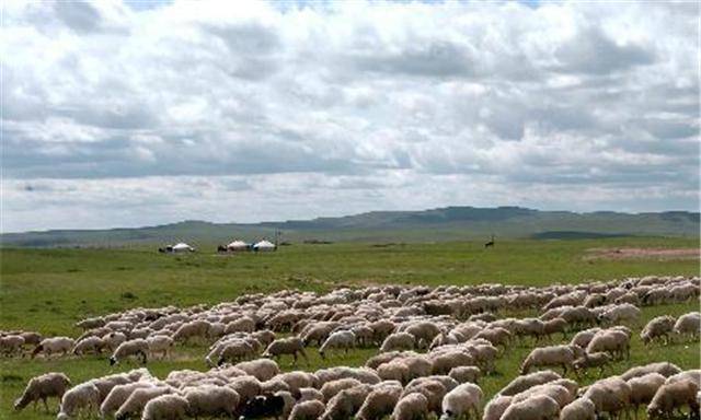 自古掌握官家手中的畜牧业,为何宋朝的"主流"却落在?_