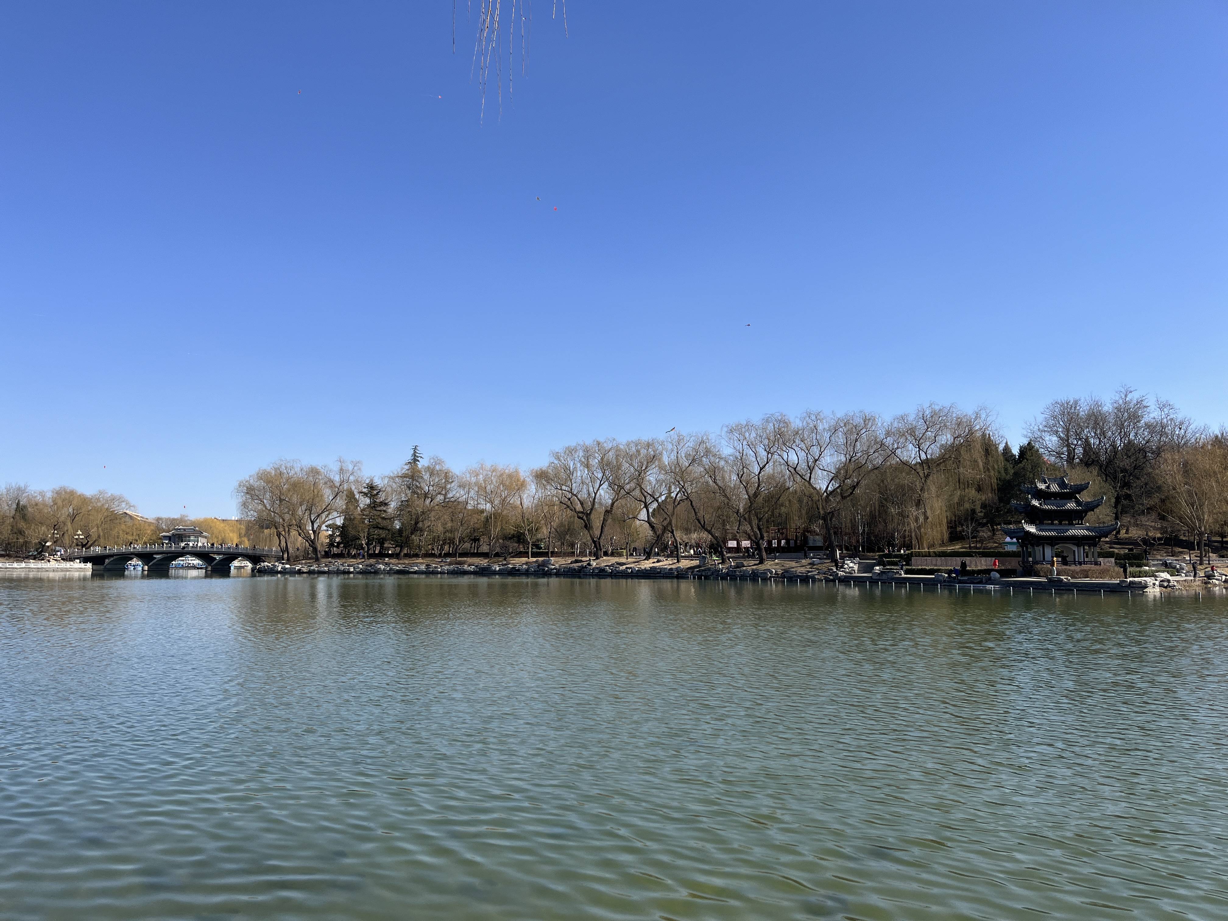 知名药业广誉远财务造假八年领罚单投资者可索赔前控股股东恐难脱责