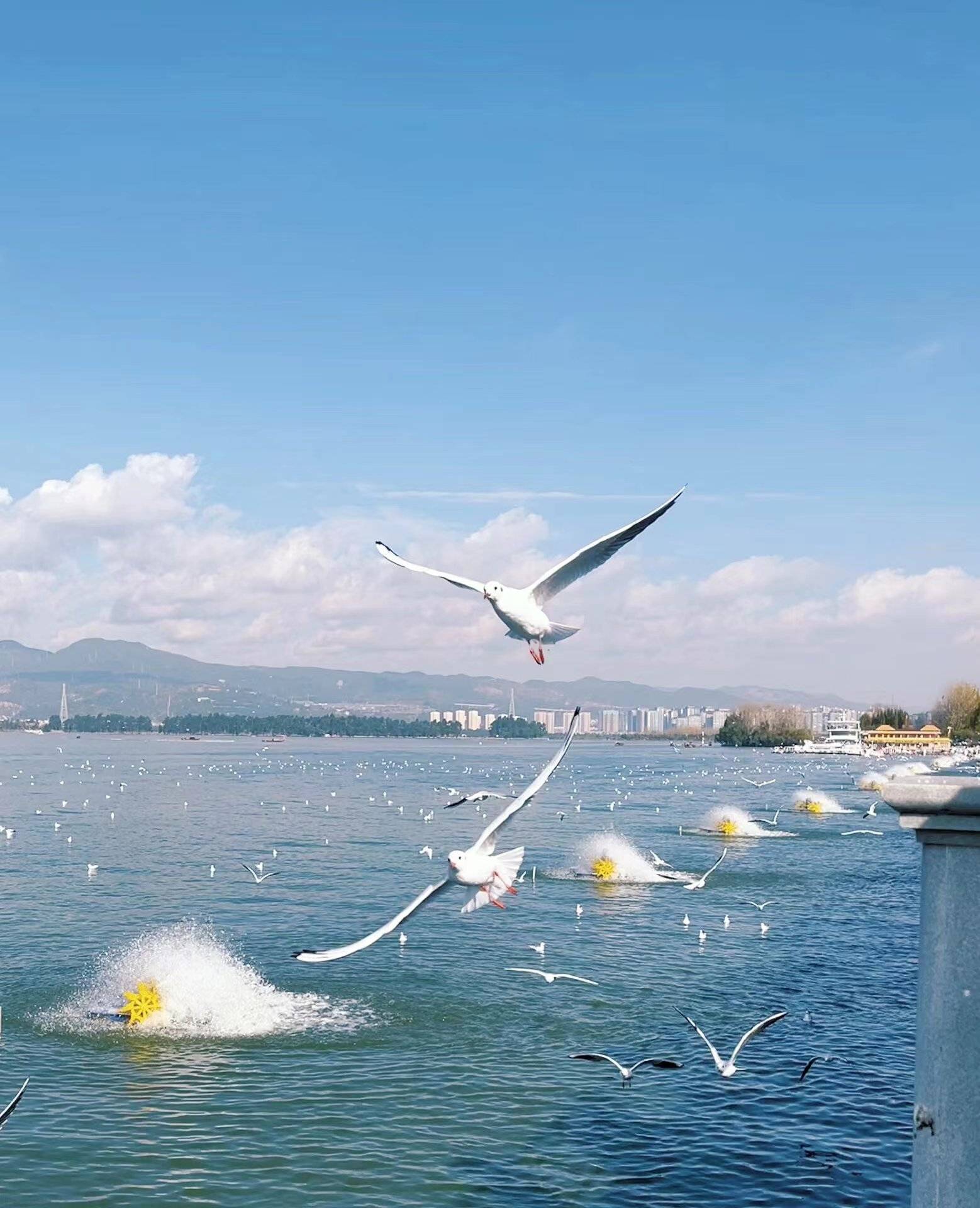 上海去云南旅游团价格,上海到云南跟团游报价