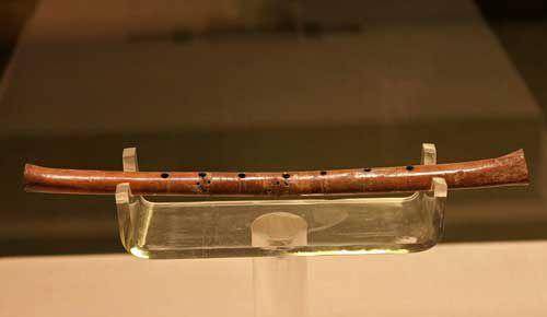 关于骨笛制作所用骨料,后来经我国著名鸟类专家计宏祥先生鉴定:为