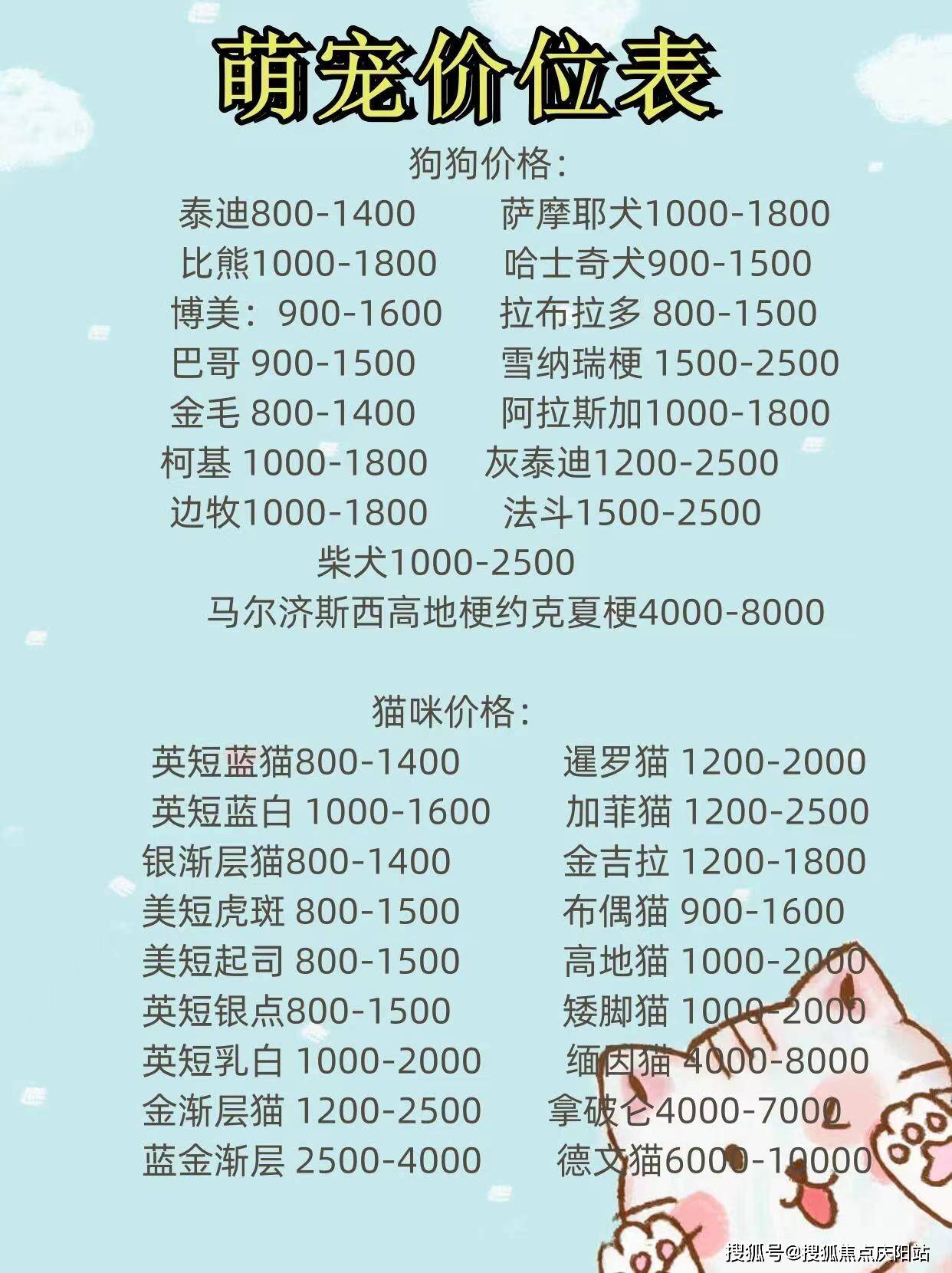 买博美首页网站宁波镇海区买博美犬在哪里买可靠靠谱