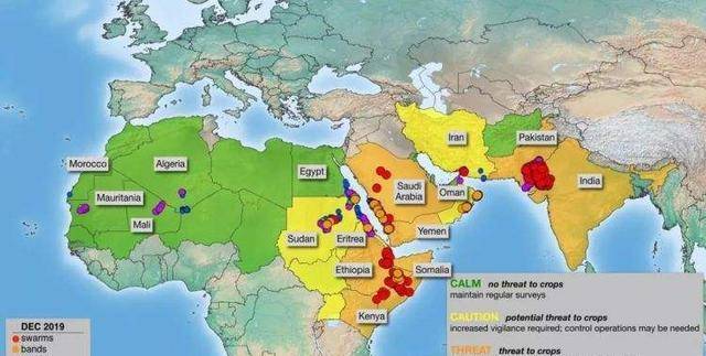 4000多亿的蝗虫,这东西为啥消灭不完_印度政府_莫迪_疫情