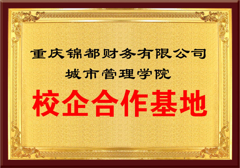 重庆金财互联锦都财税服务有限公司