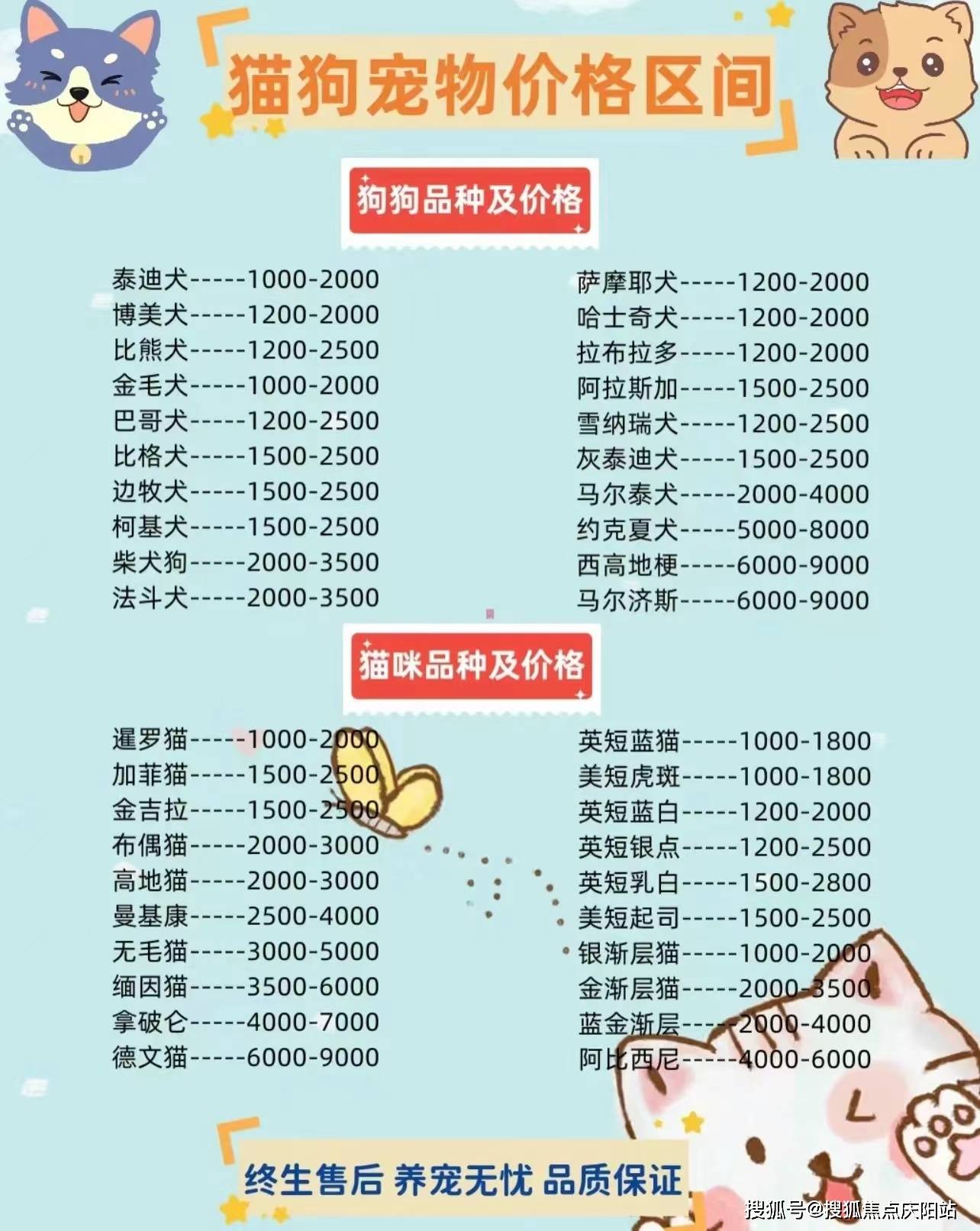 买金毛犬首页网站南京雨花区买金毛犬哪里有实体店