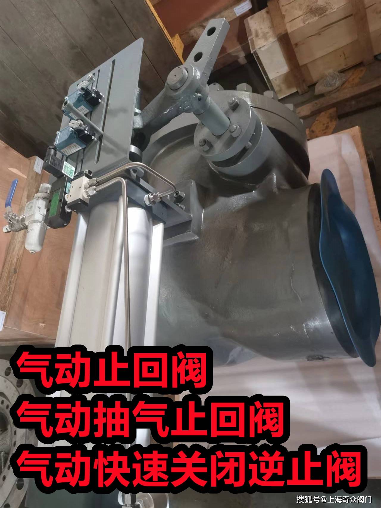 气动止回阀,国内一线阀门奇众品牌厂家