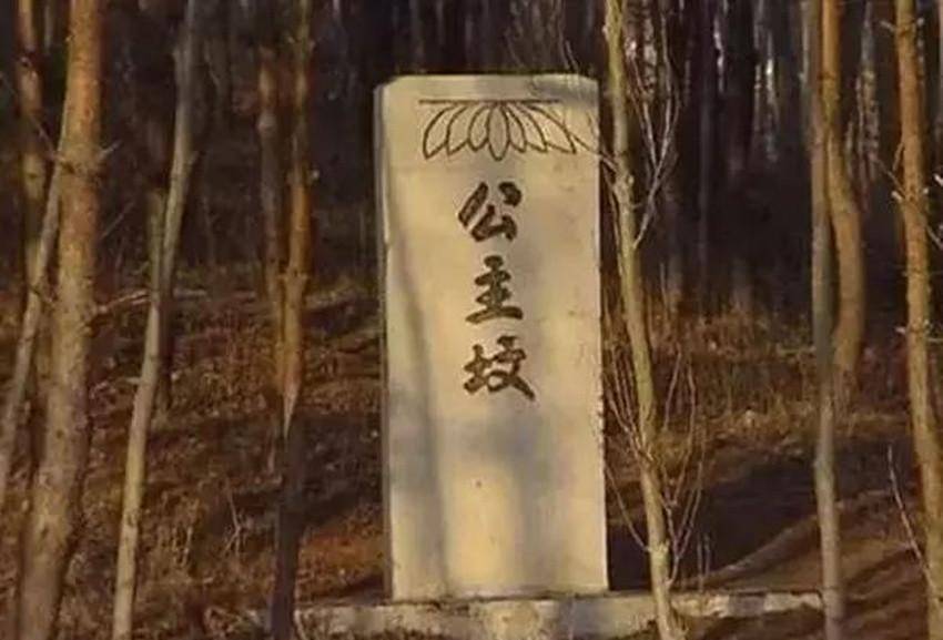 举南下进攻南明,满清王朝唯一的汉族公主由此诞生_孔有德_李定国_桂林