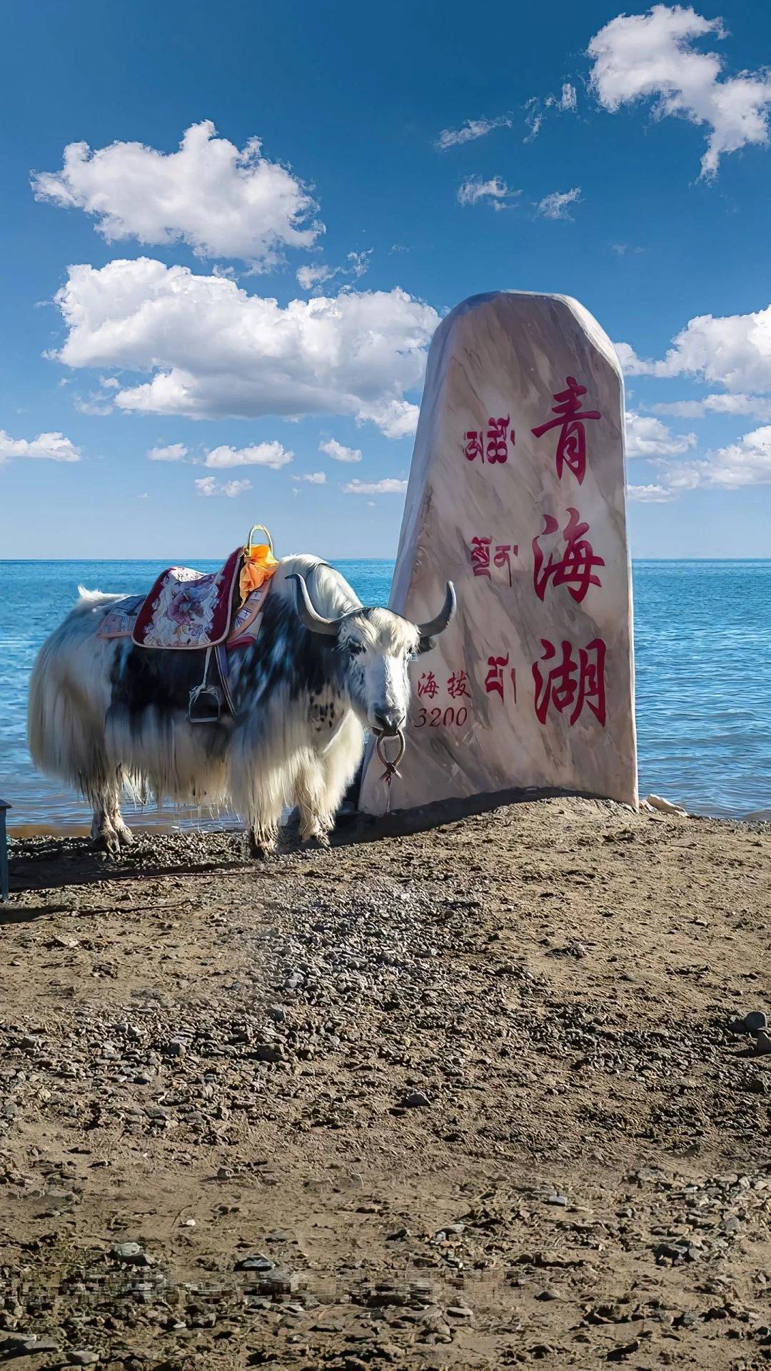 上海到甘青玩七天需要多少钱