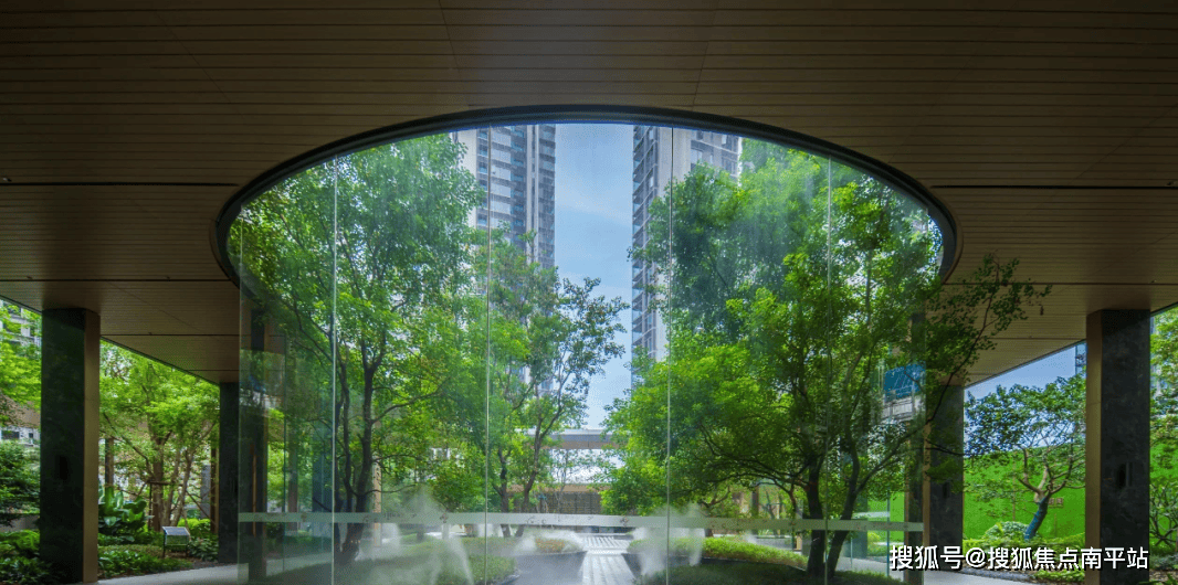 泳池参考三亚奢华酒店edition,四周种植银海枣,红花玉蕊等热带植物,别