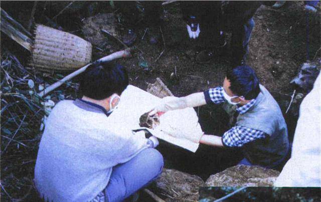 但直到他去世,这个"猴娃"的身世之谜一直难以解开.