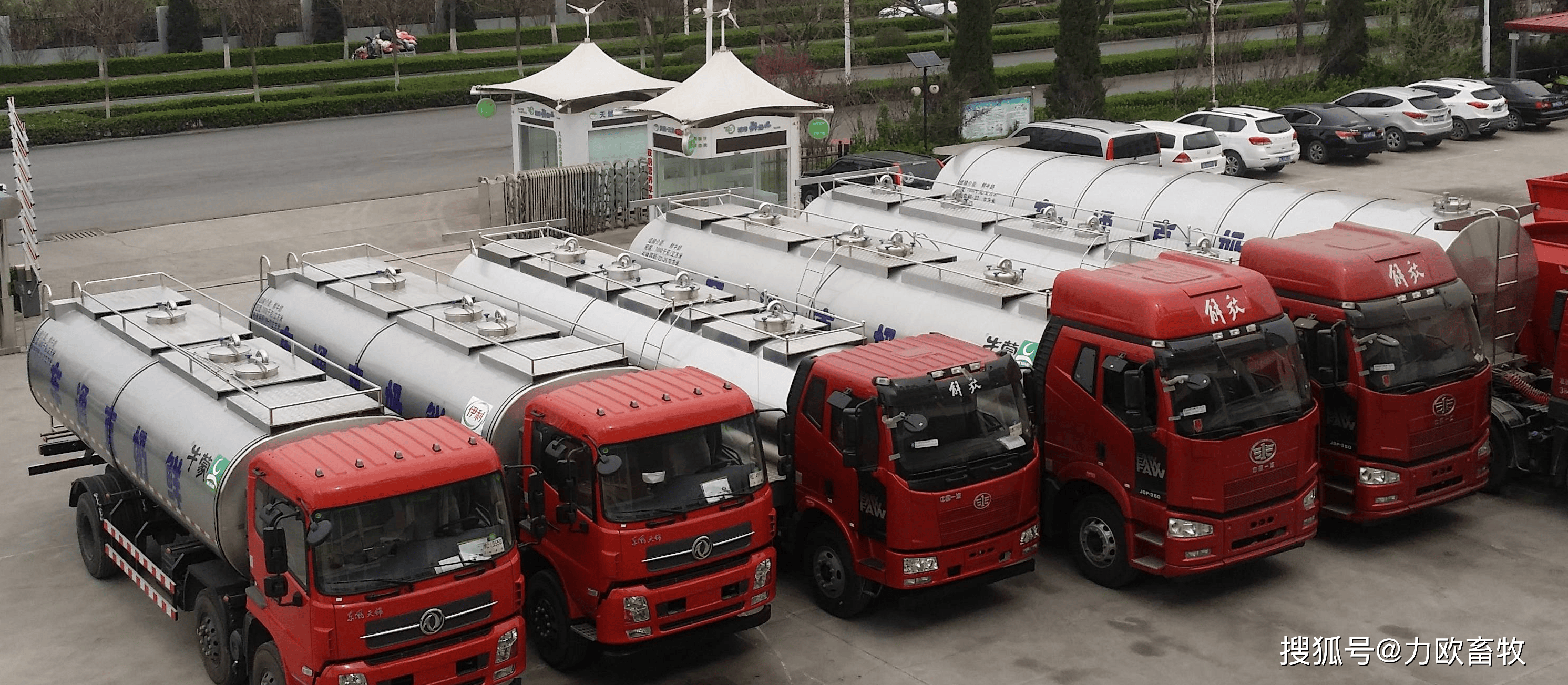 力欧牛奶运输车力欧牛奶车