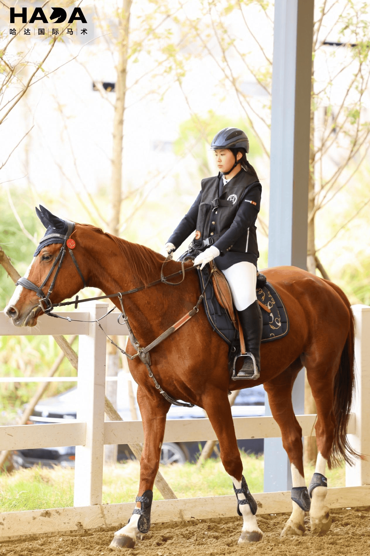 2024中国马术协会骑手分级考核【福州-哈达站】人气网络宣传推广大使