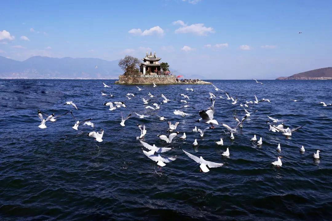 云南大理丽江旅游导游详细行程安排,看完就知道了