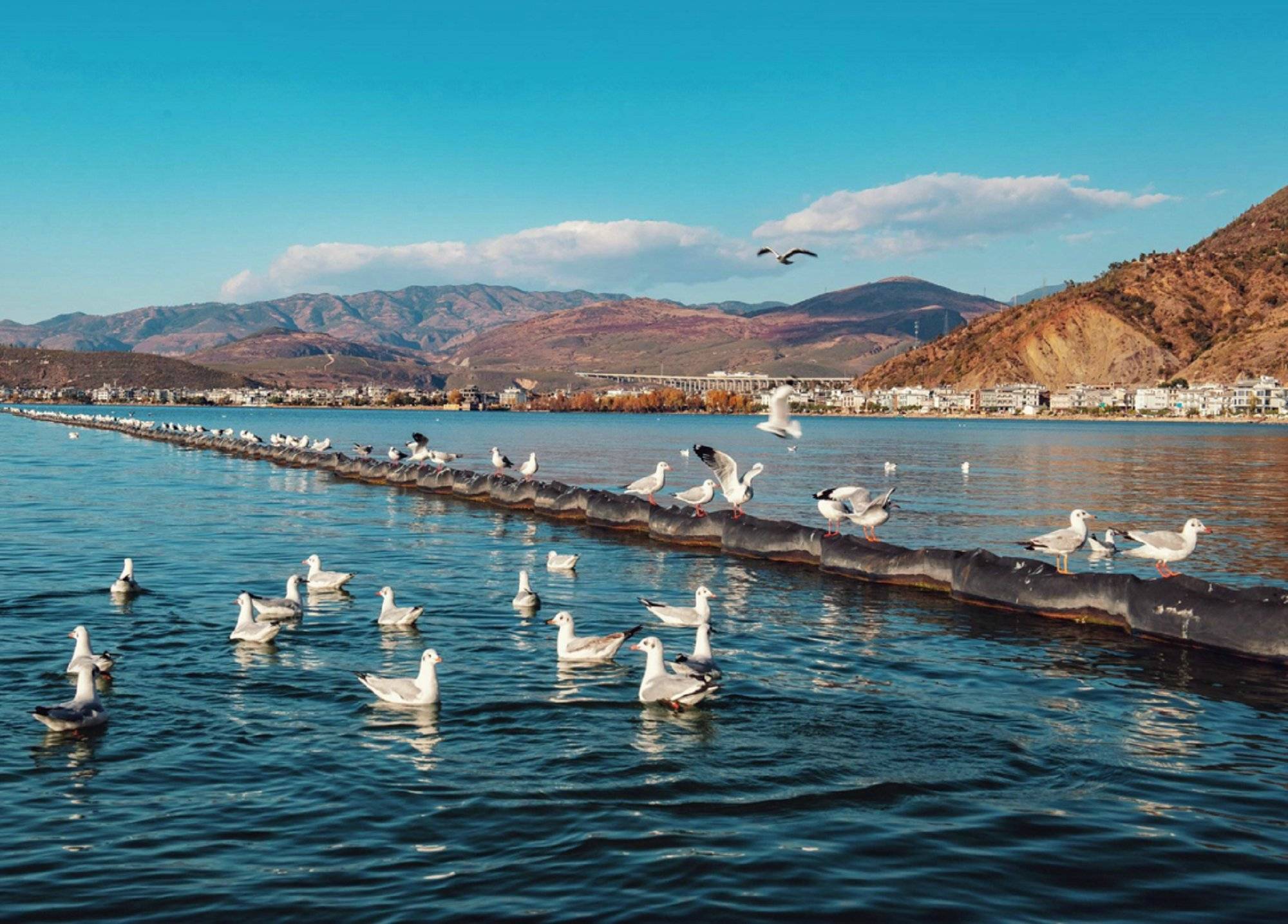 云南西双版纳旅行跟团要花费多少钱,看完就知道了