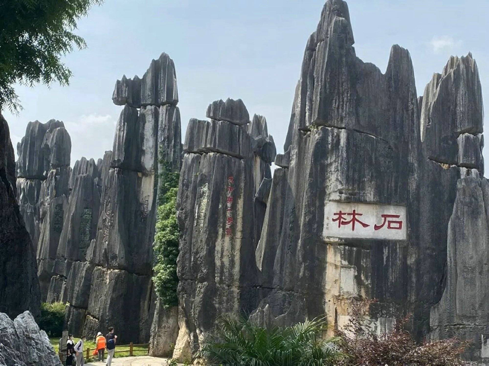 云南大理丽江旅行参团游一些个人建议,看完就知道了_阿星_大哥_土地