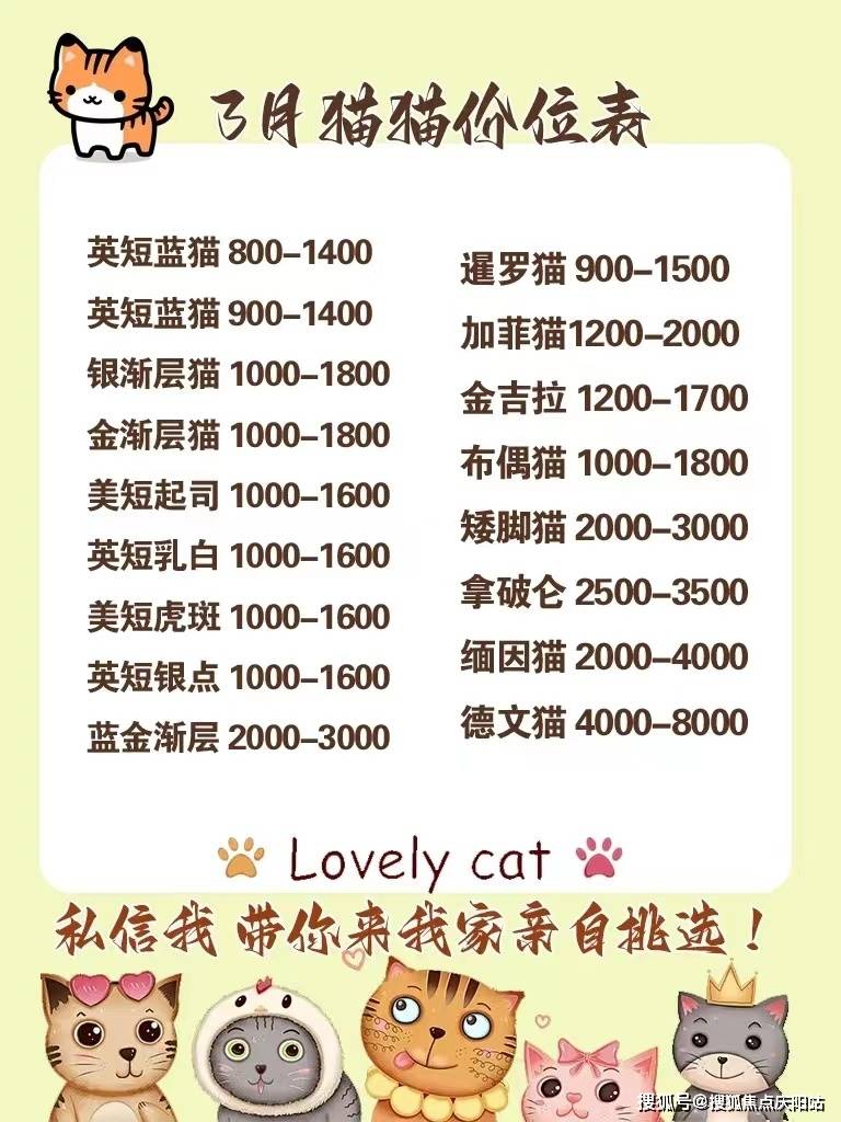 沈阳买拉布拉多首页网站(沈阳沈北新区)拉布拉多多少钱一只买!