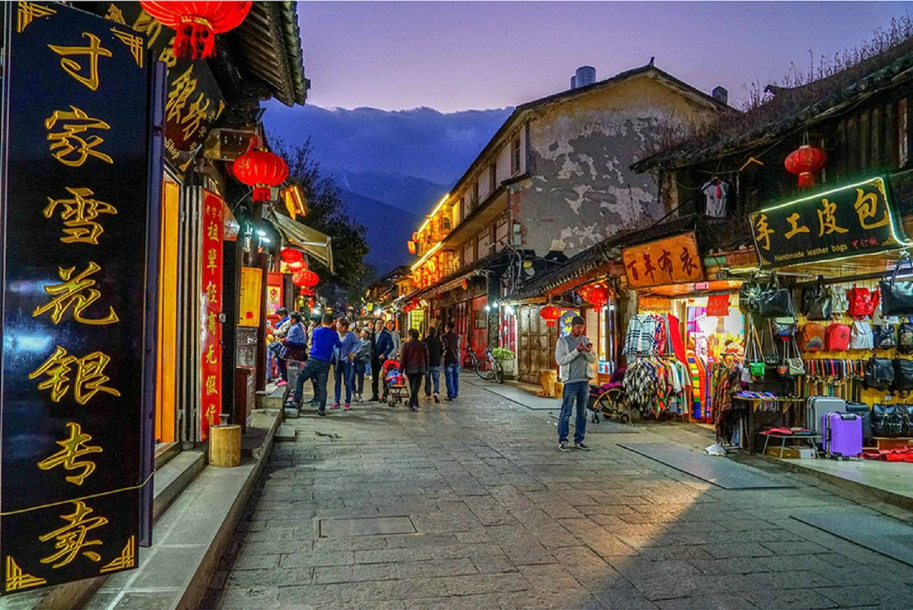 这里有各种各样的热带植物,比如说我在电影里看到的巨大橡胶树,还有