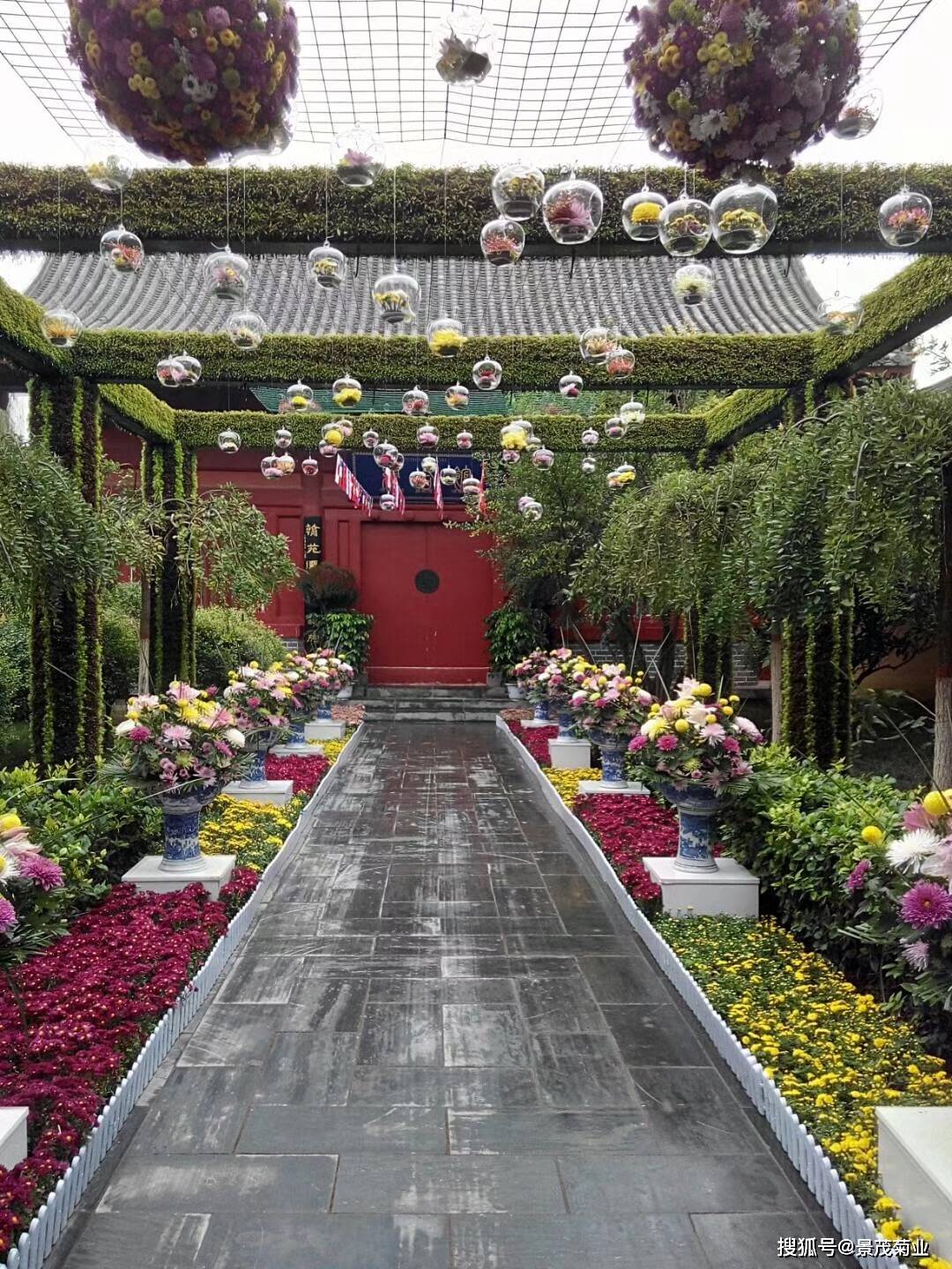 往届菊花展案例—2017年清园第六届国际菊花展(菊花展布展设计厂家)