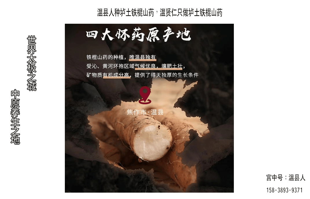 铁棍山药的功效与作用图片