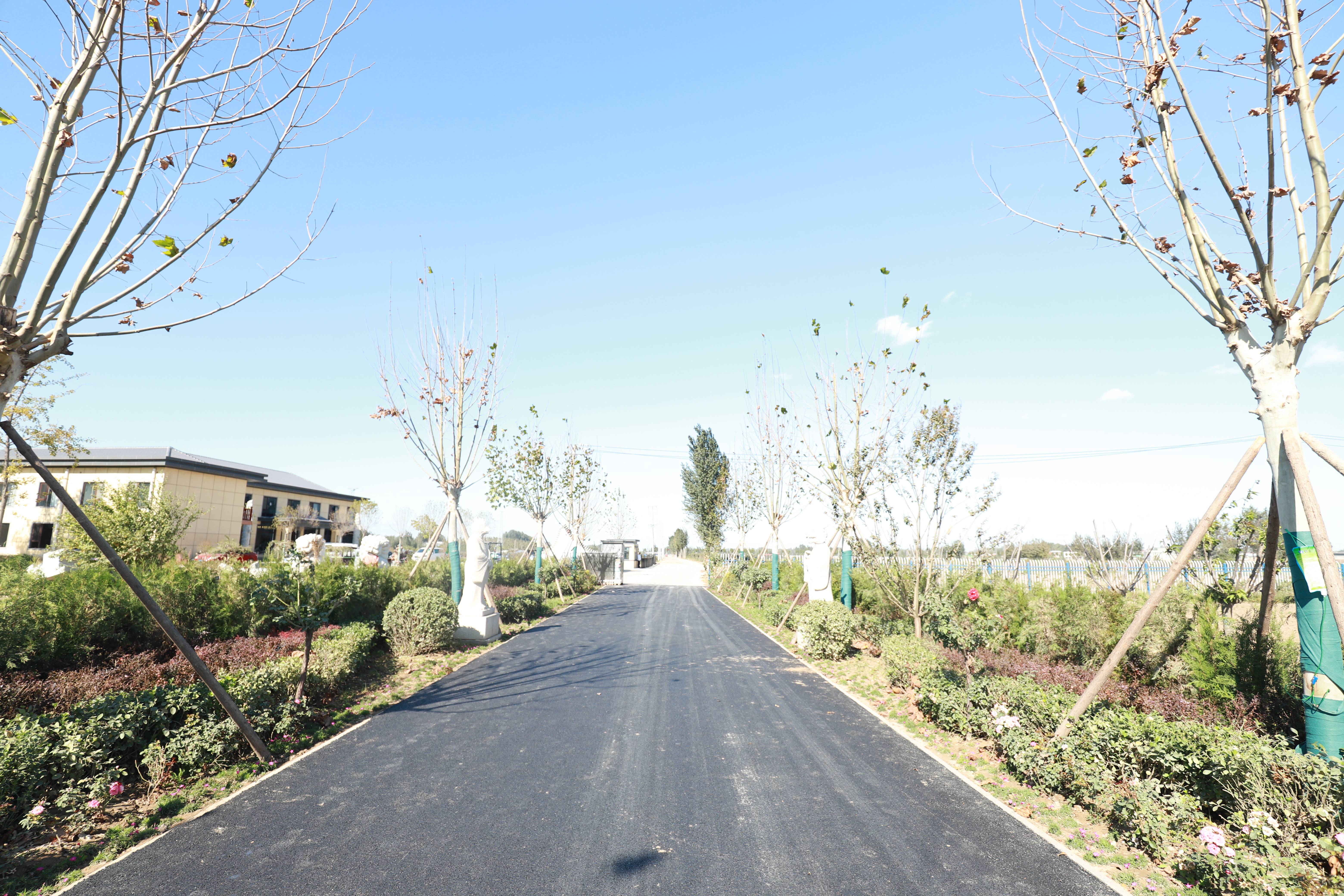 河北涿州刁窝镇永安陵园怎么样?