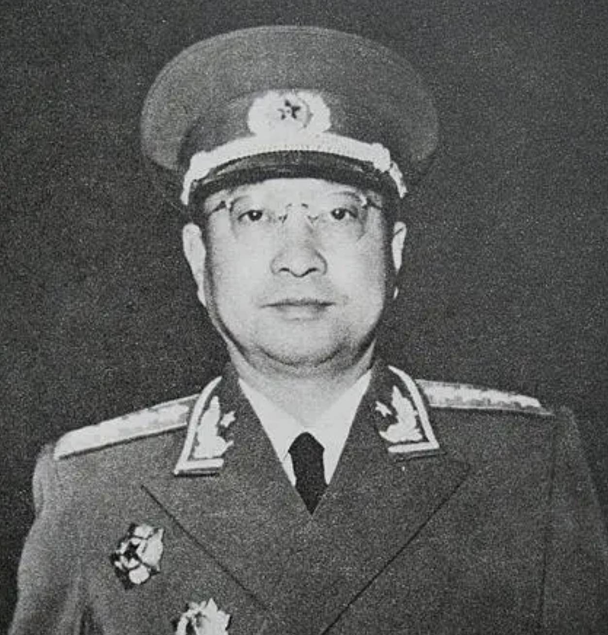 184师叛逃后,林帅命令异常严厉:全部消灭,不接受起义和投诚!