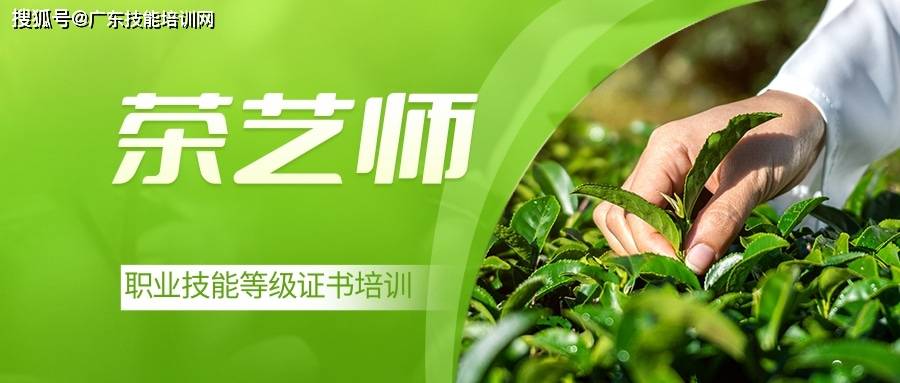 补贴2000元/人,符合条件即可