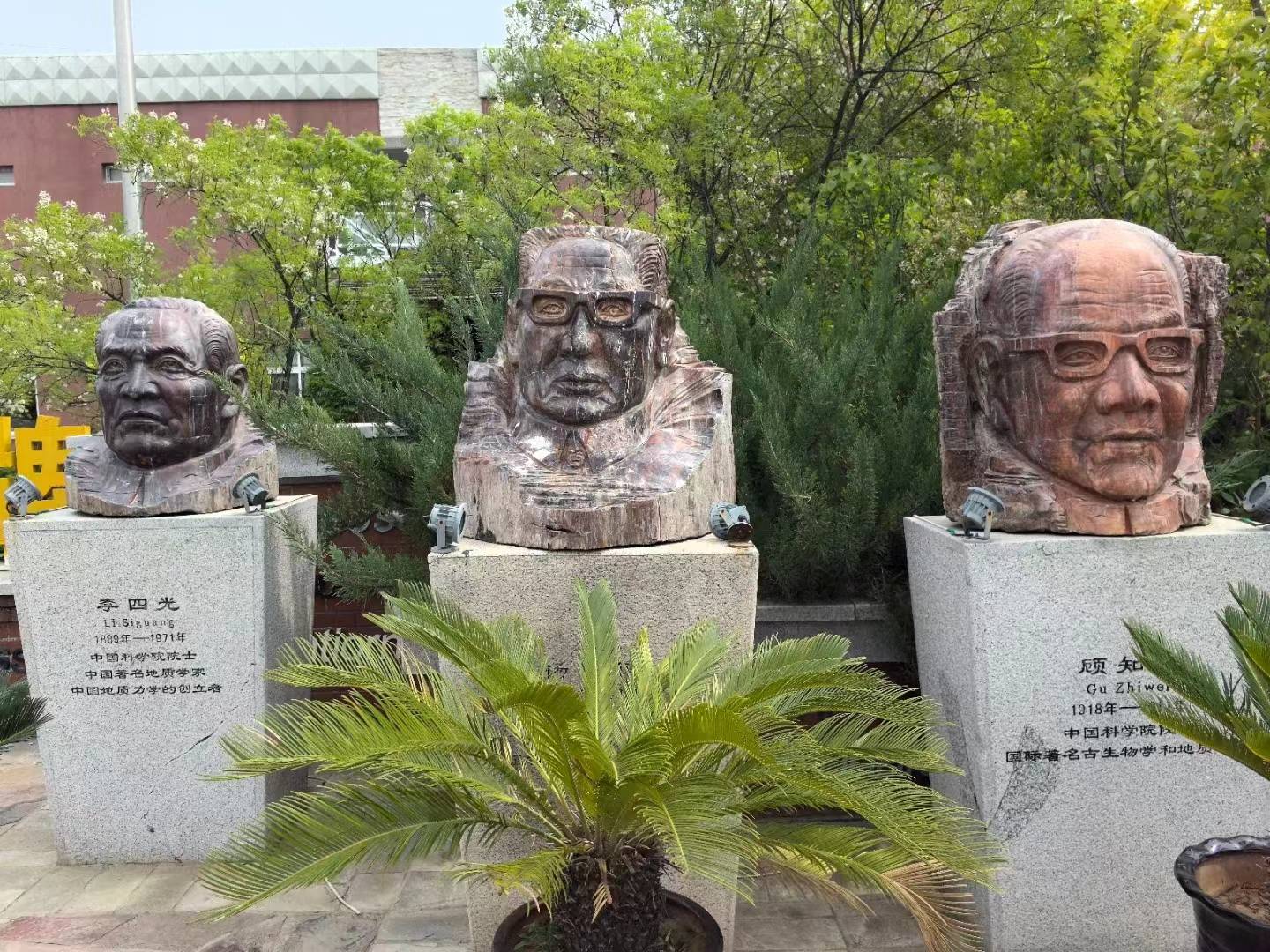 这个叫"龙"的千年古城,却因1亿年前的"鸟"名扬世