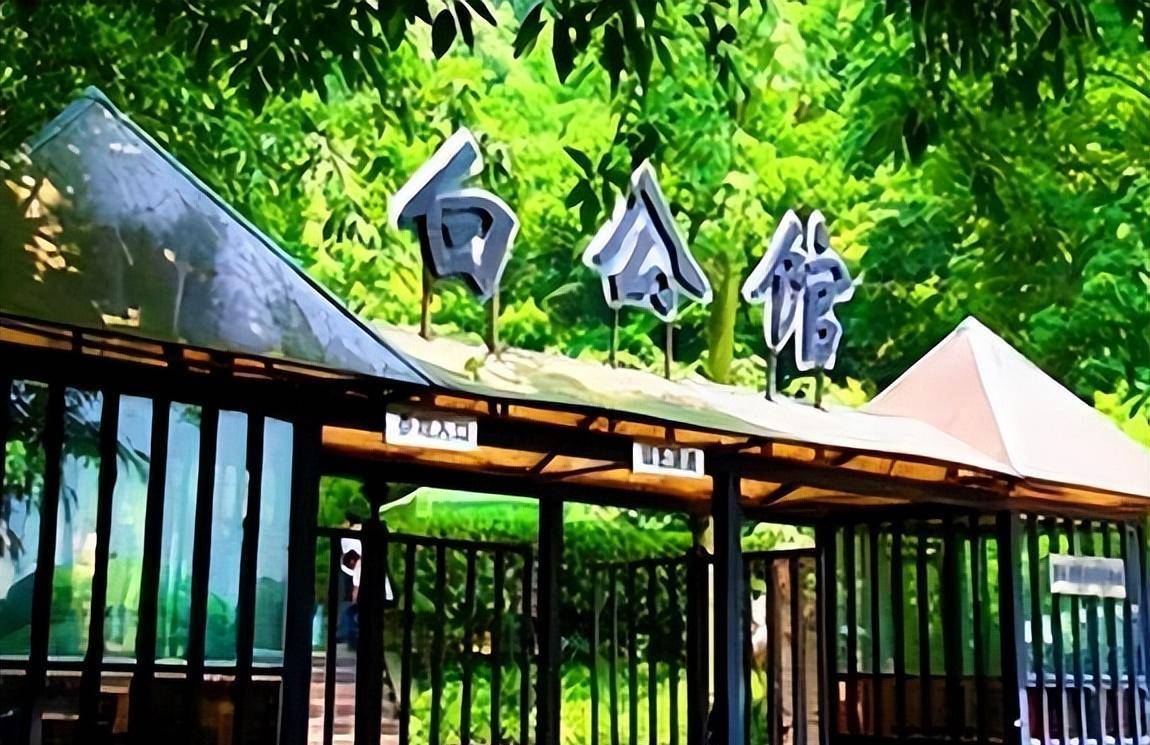 1949年重庆小贩捡到一小女孩,问她家住哪里,她回答:白公馆