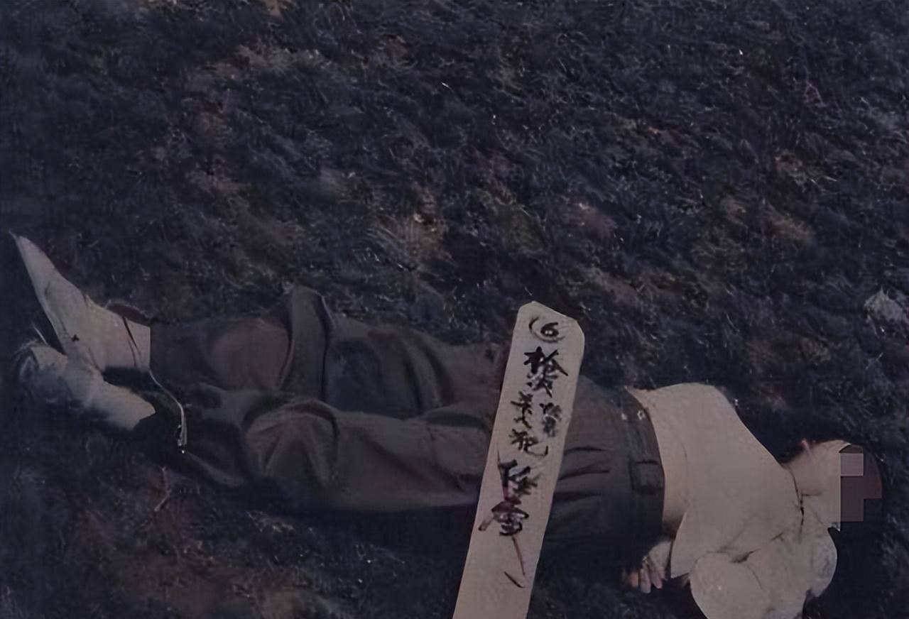 最美死刑犯任雪,枪决前忽然张嘴令众人不解,但行刑的武警却懂了