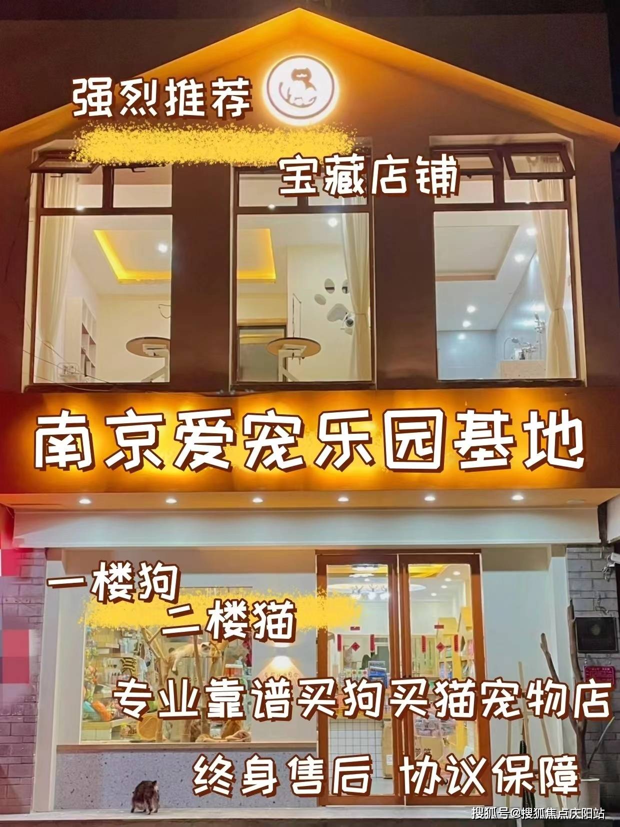 选择一家信誉良好,服务周到的宠物店,对于确保爱宠的健康和品质至关