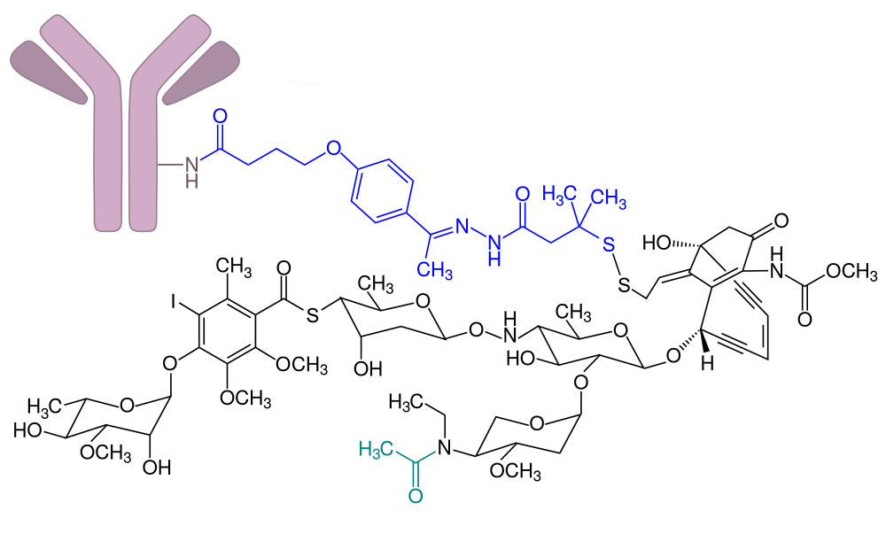 吉妥珠单抗:攻克急性髓系白血病的靶向疗法新篇章