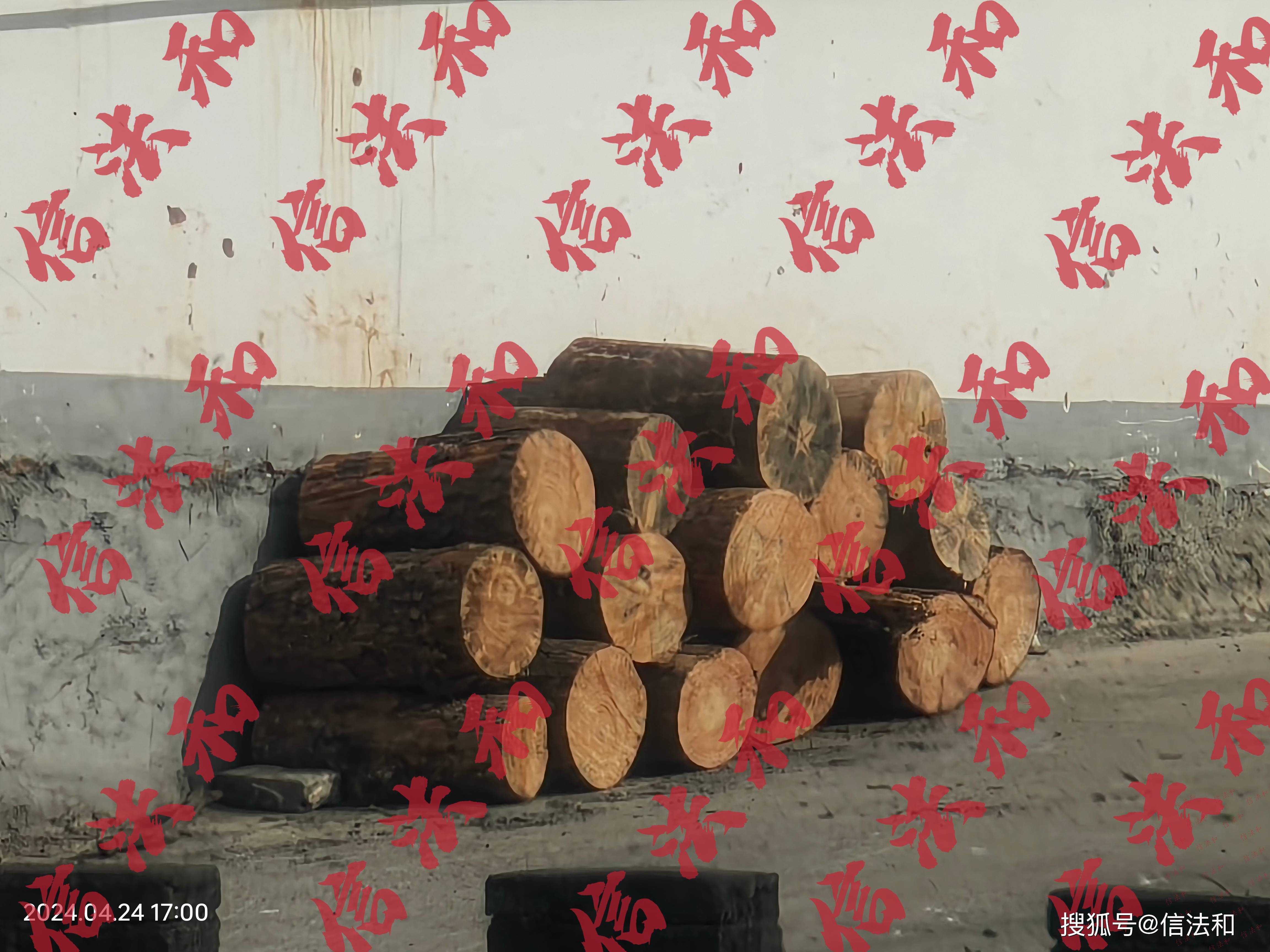 群众反映:商南县多个乡镇肆意砍伐林木 商南县林业局监管流于形式