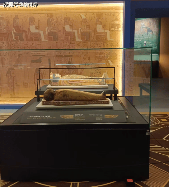 在杭州遇见古埃及,亲眼目睹永恒的木乃伊,你想去看吗?