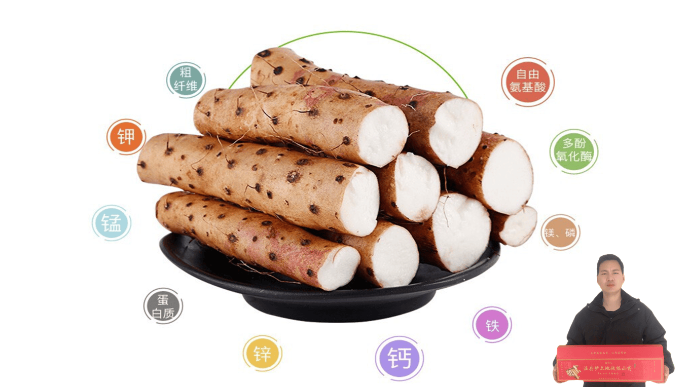 中国河南焦作温县垆土铁棍山药,作为天赐瑰宝,拥有其独特的功效与作用