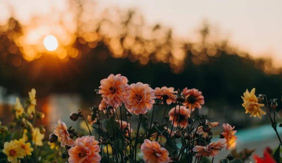 真正爱你入骨的女人,往往会对你做三件事