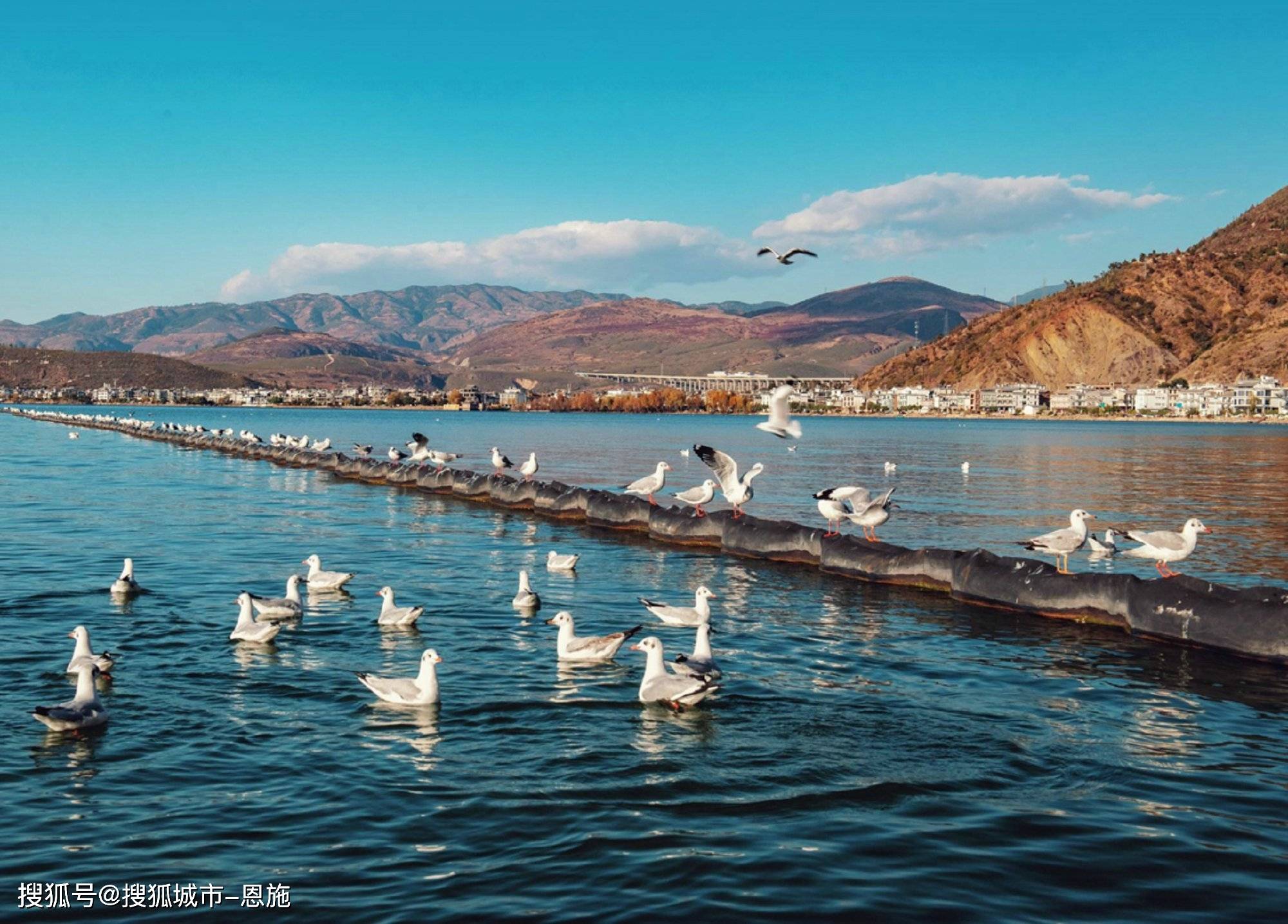 云南西双版纳攻略纯玩团6天必玩的景点有哪些,看完不会被坑.