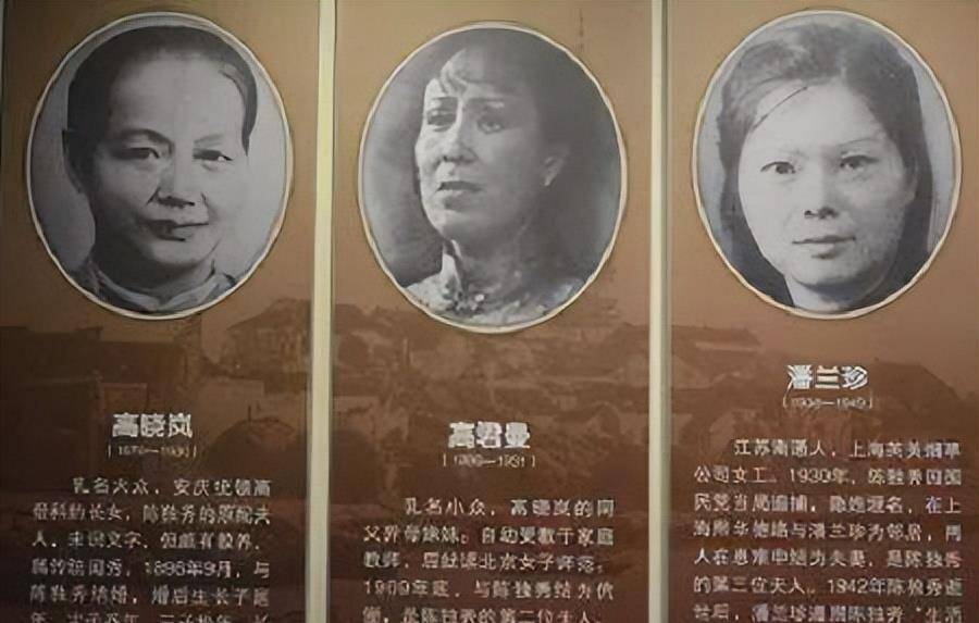 而出现在陈独秀葬礼上的"三夫人"潘兰珍与她们相比,既没有家世,也没有