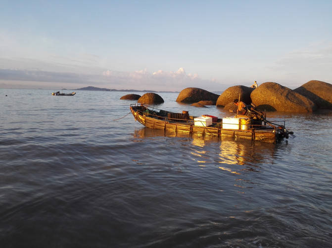 厦门,这座美丽的海滨城市,以其独特的闽南风情,迷人的沙滩和丰富的