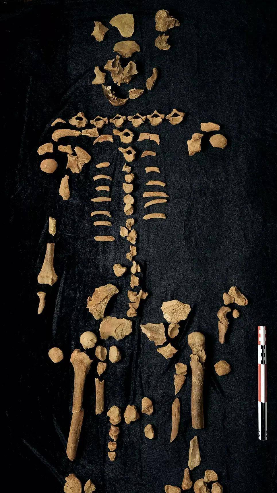 "高祖王亥"新考