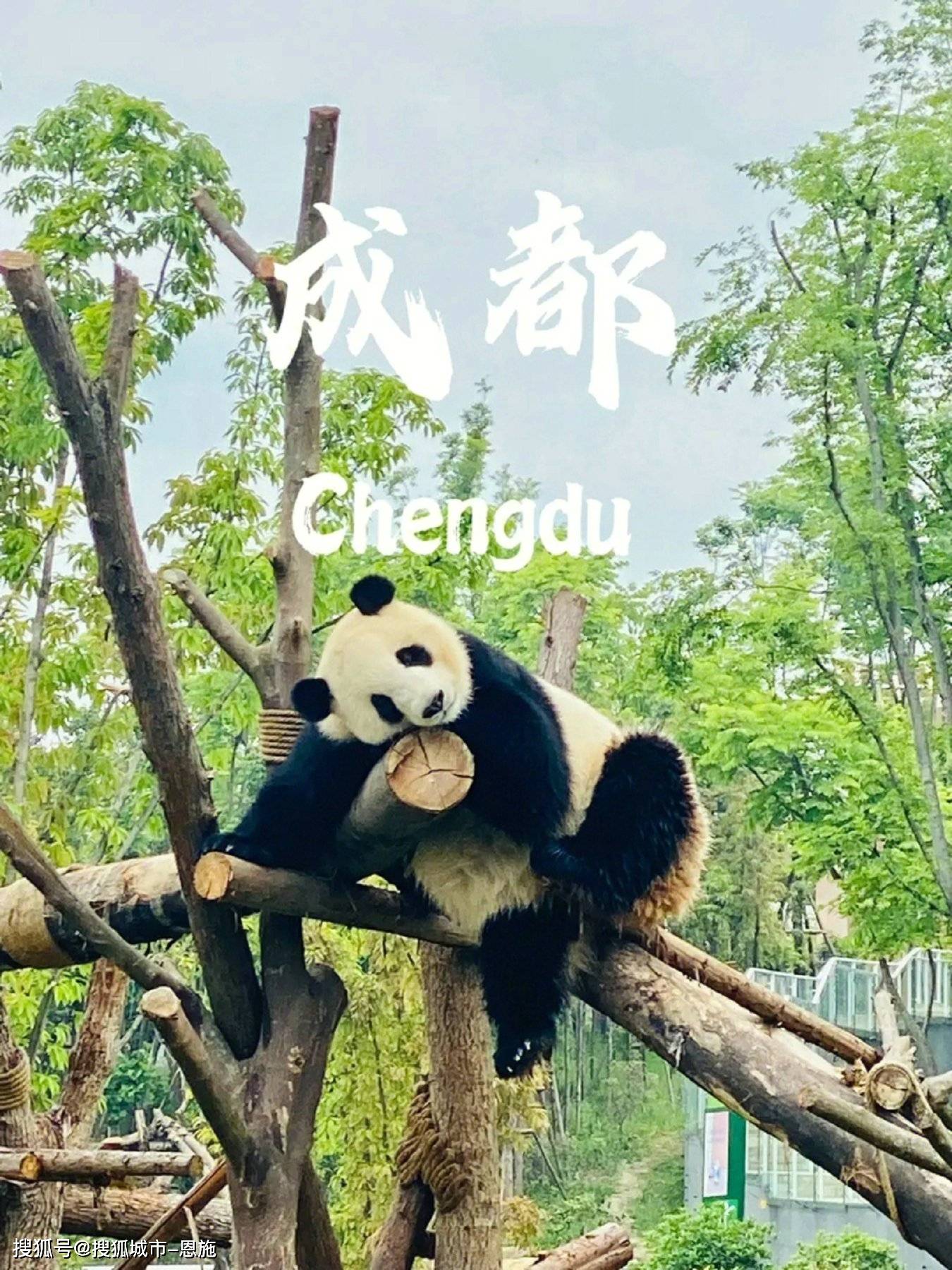 四川团建六天报价多少钱,第一次去必看!