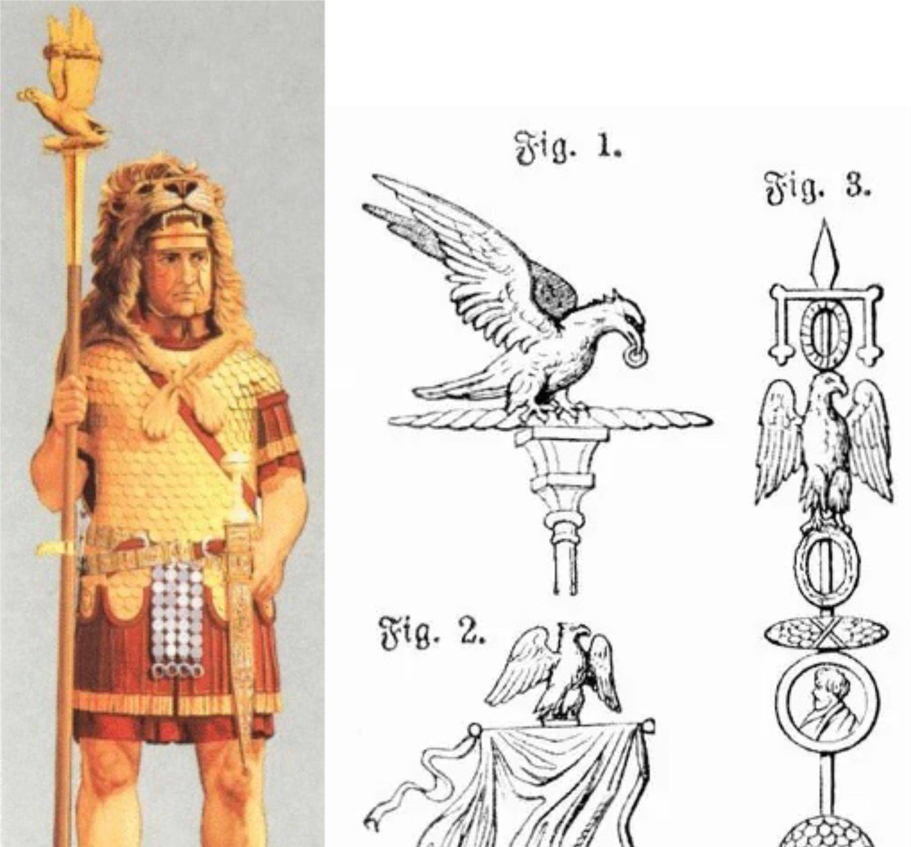 马略把民兵改募兵,整肃后,这些图腾在使用一下变得有条理了.