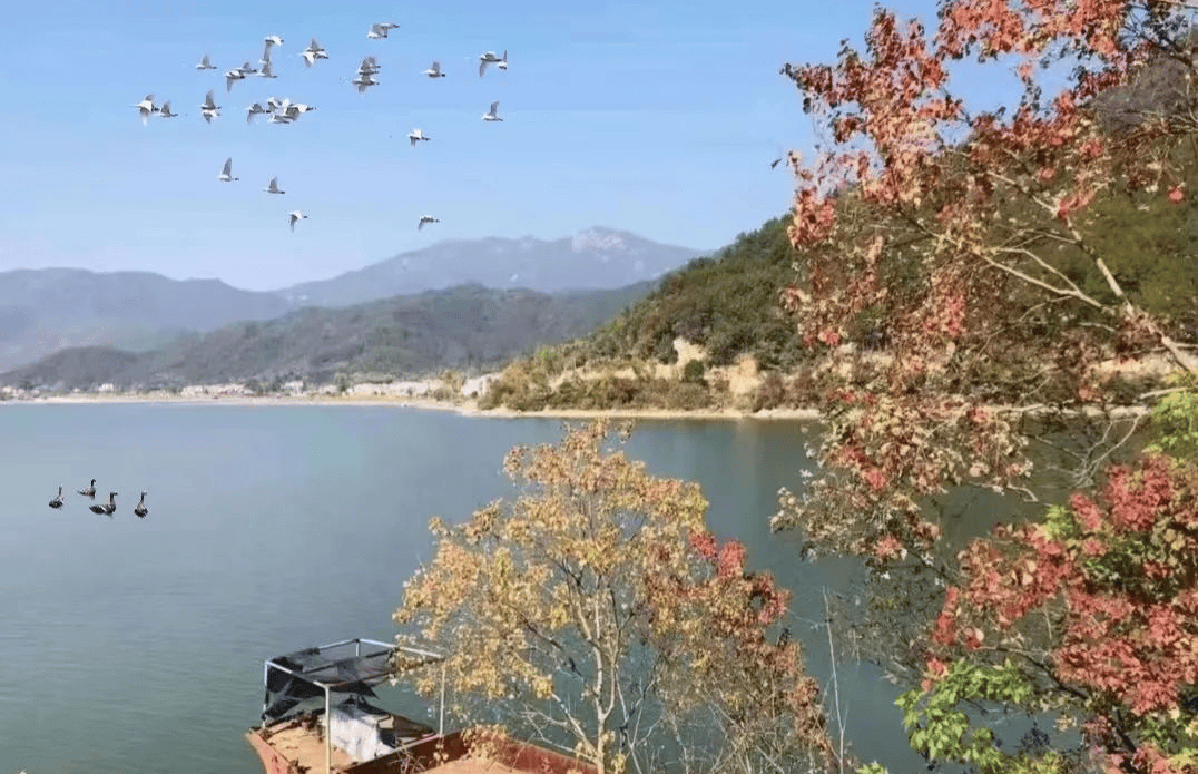 行走考田山水间