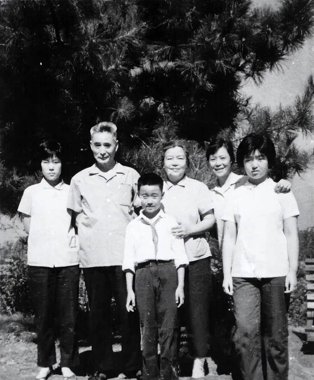 蔡若曙_蒋介石_丈夫